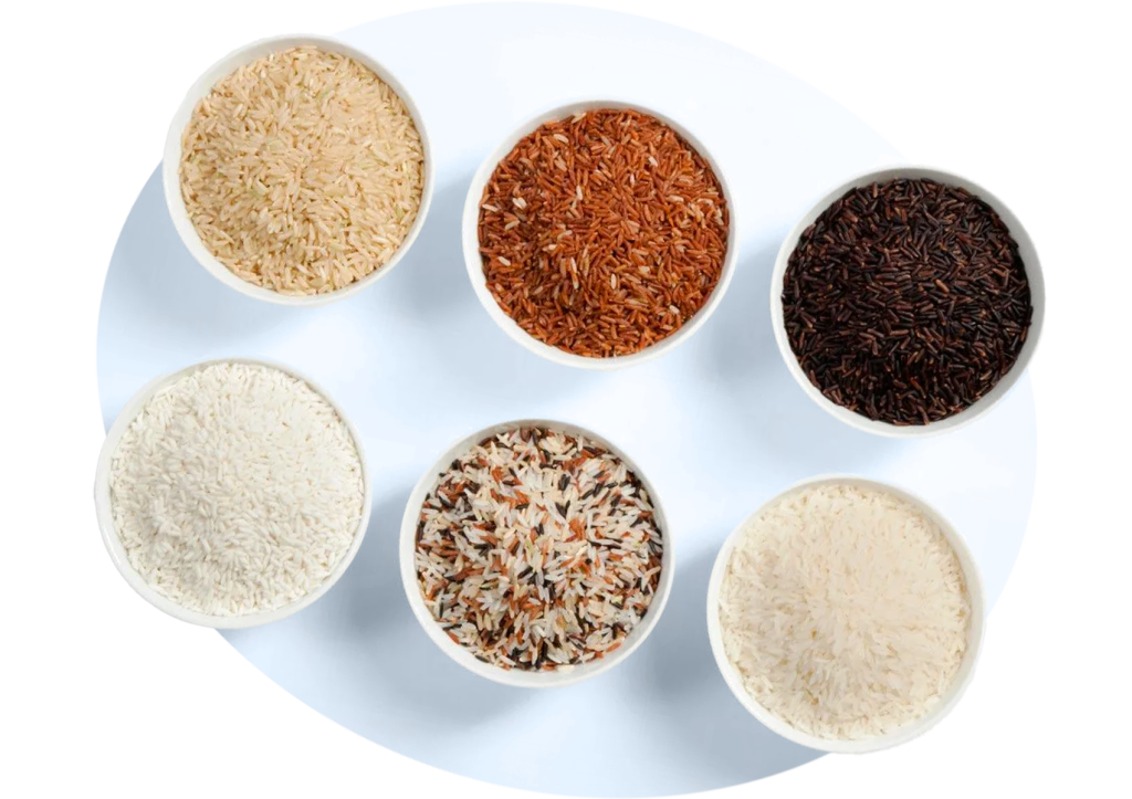 БЛОГ-01.png БЛОГ-01.png