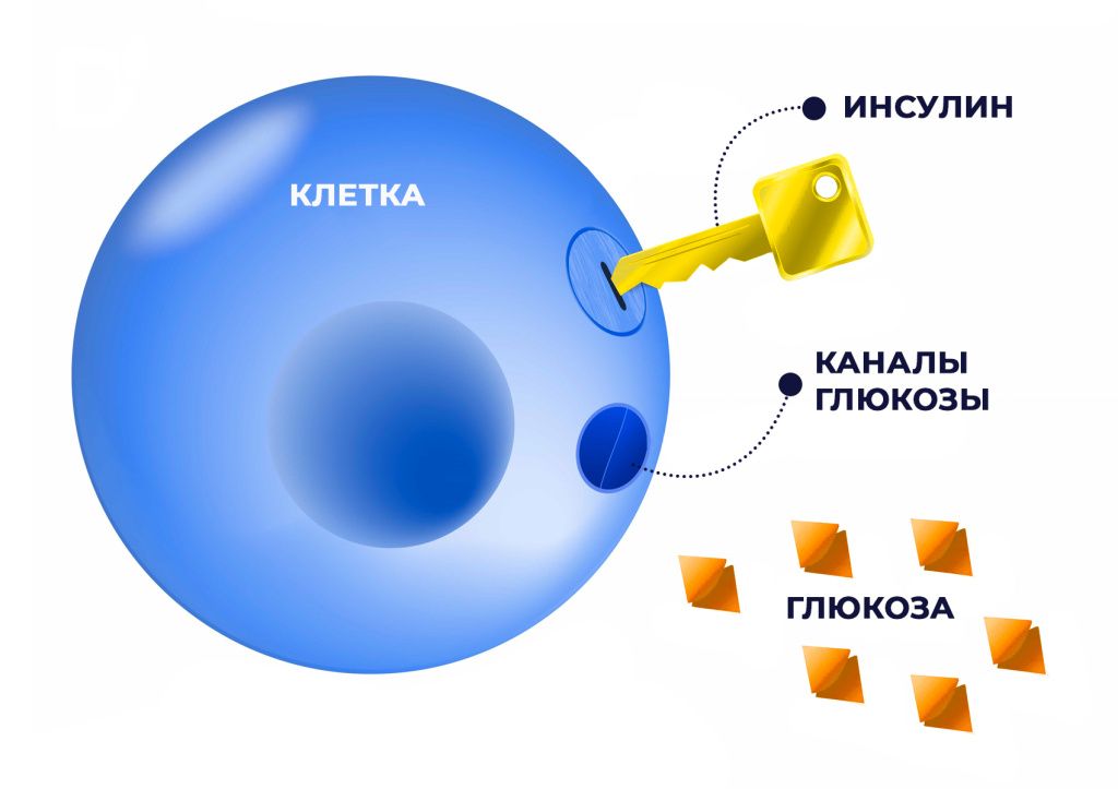 БЛОГ-2.jpg Мифы про инсулин и инсулинотерапию: есть ли в них правда?.jpg