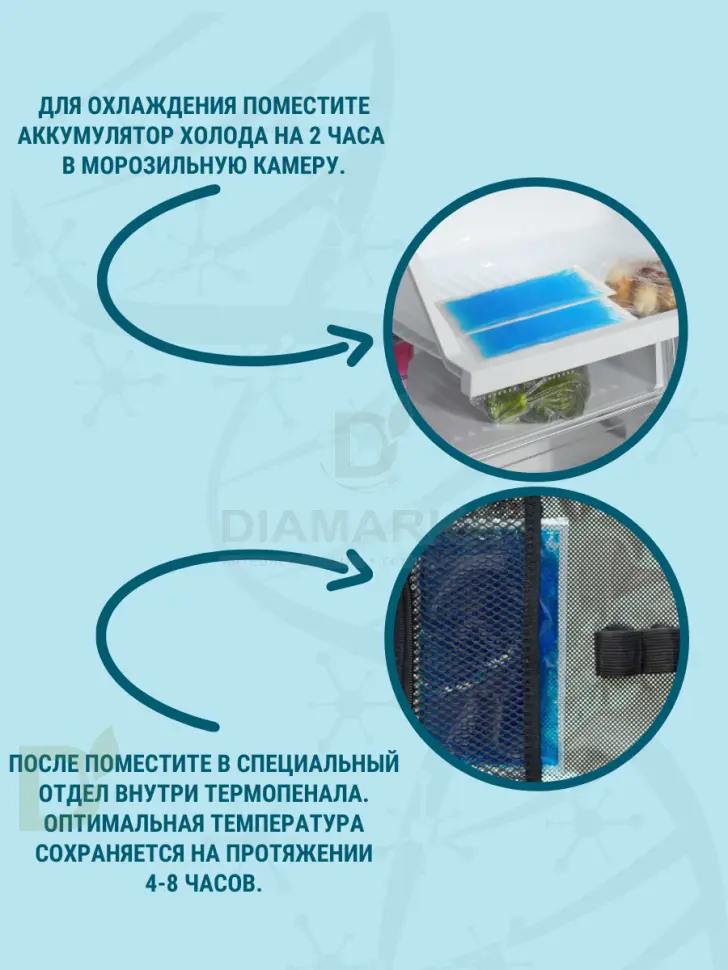 Термопенал Зеленый с аккумулятором холода