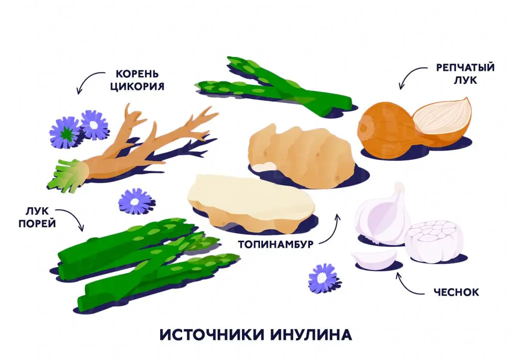 Топинамбур помогает избавиться от сахарного диабета?